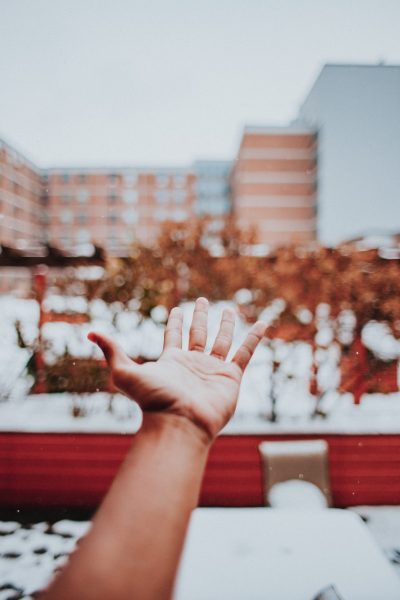 marcos-paulo-prado-tRNWWgvUjUM-unsplash marcos-paulo-prado-tRNWWgvUjUM-unsplash